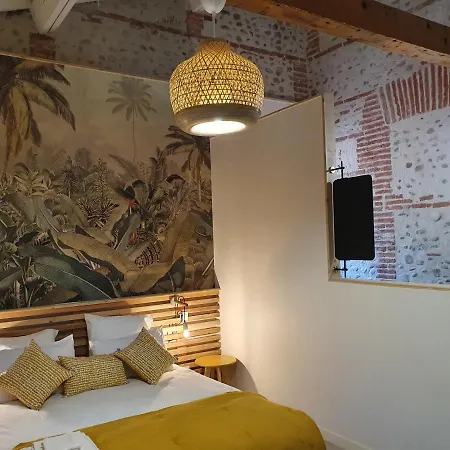 Superbe Batisse De Caractere, Coeur De Prázdninový dům Perpignan